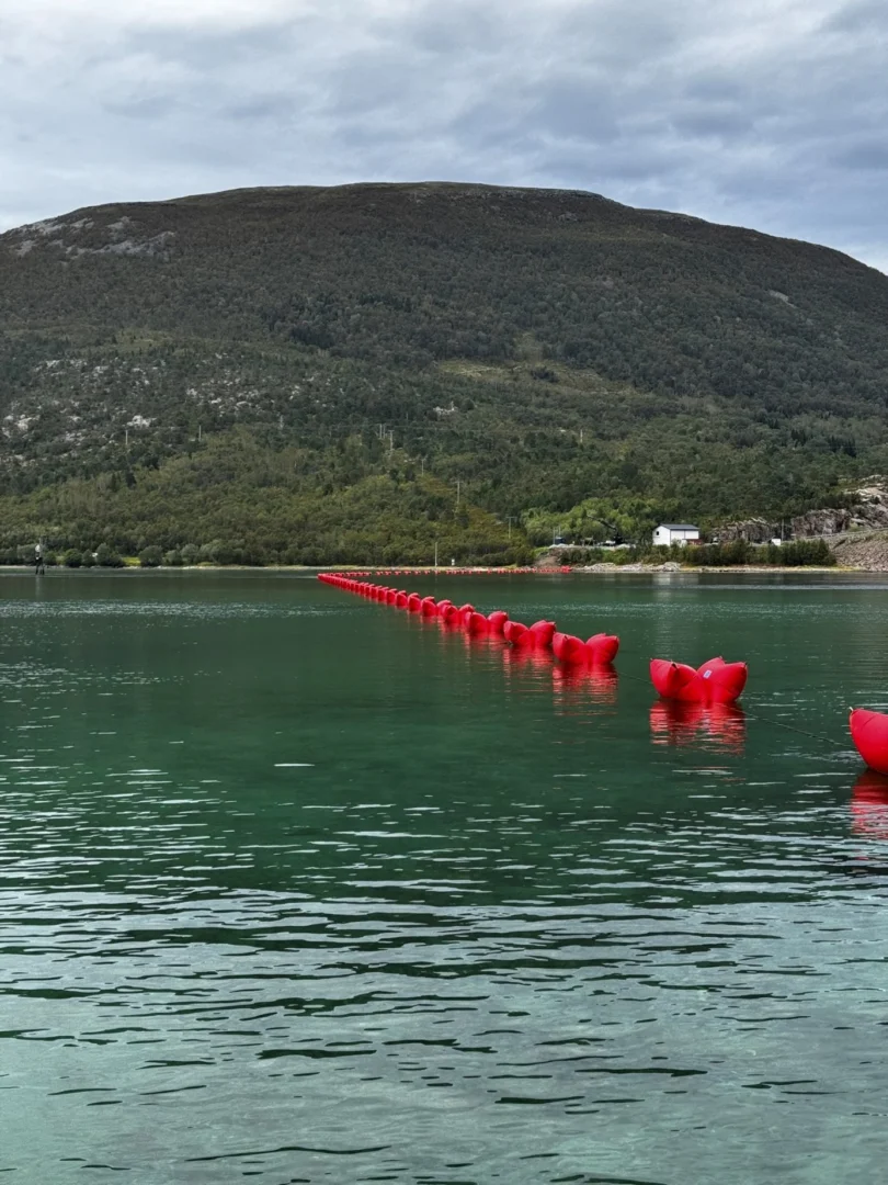 Line of red floats carrying the cable across the sound